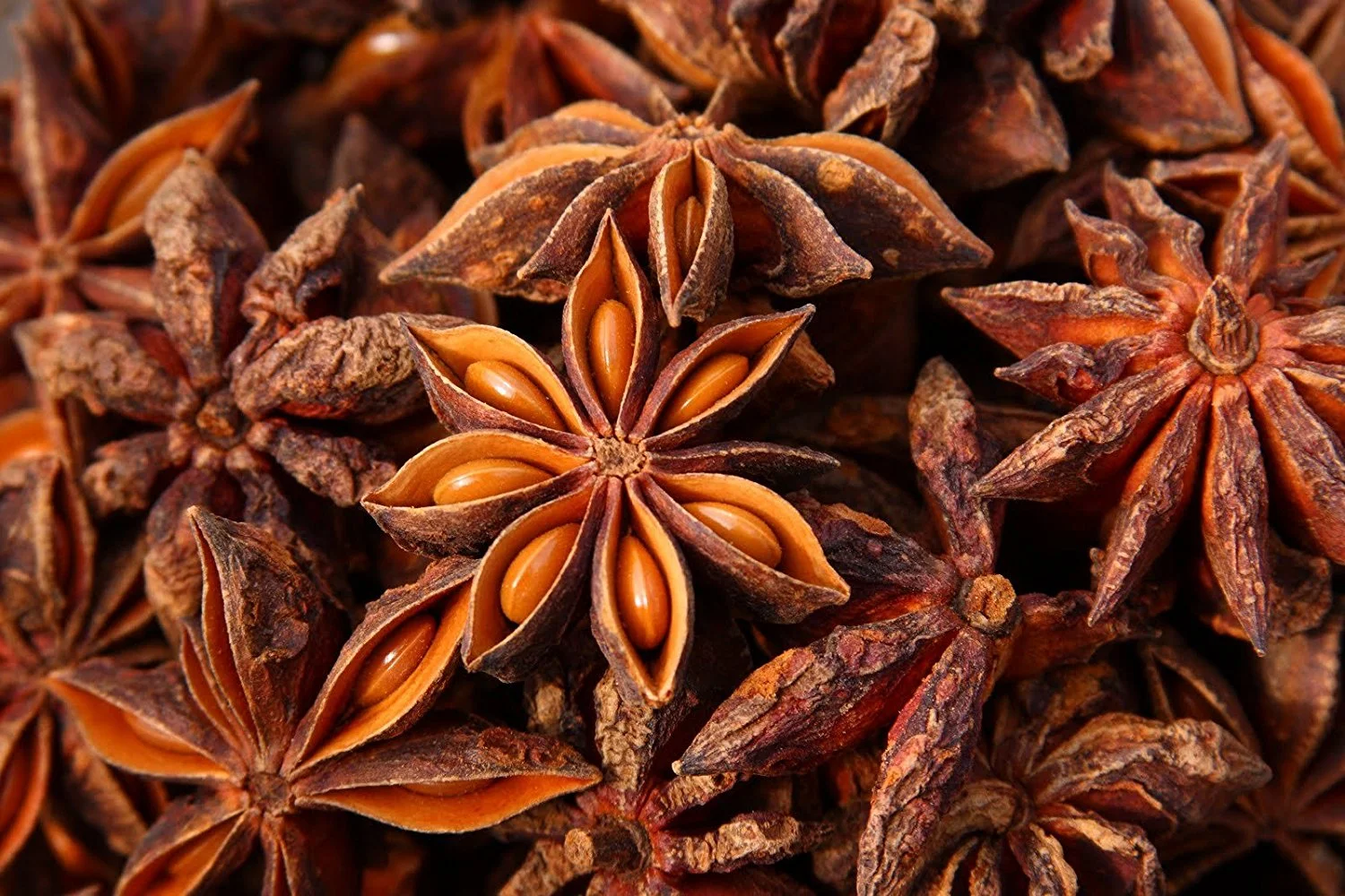 Journey of Star Anise
