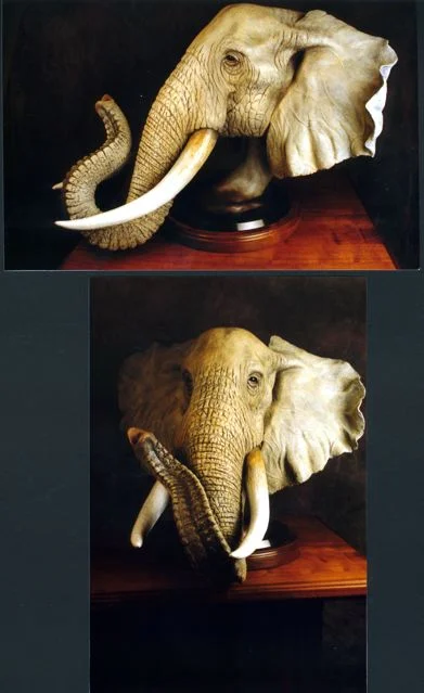 Madala copy.jpg