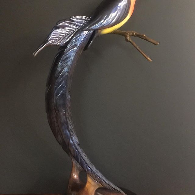 This is a, Paradise Whydah with a beautiful long tail that I just finished. Also my kid kits are doing well check it with the small video on my web site, Gary Cooley.com. Check out my NEW sculpting class for kids. The kit would be an amazing gift for