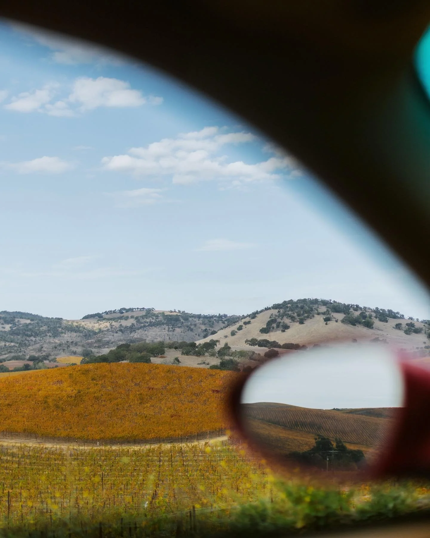 Nothing quite like a 🇩🇪 auto with an analog transmission&hellip; functional art on wheels! @rebeccaskidgelphoto is a stellar wedding photographer and it turns out she&rsquo;s the 🐐 at car shoots as well. 🚗