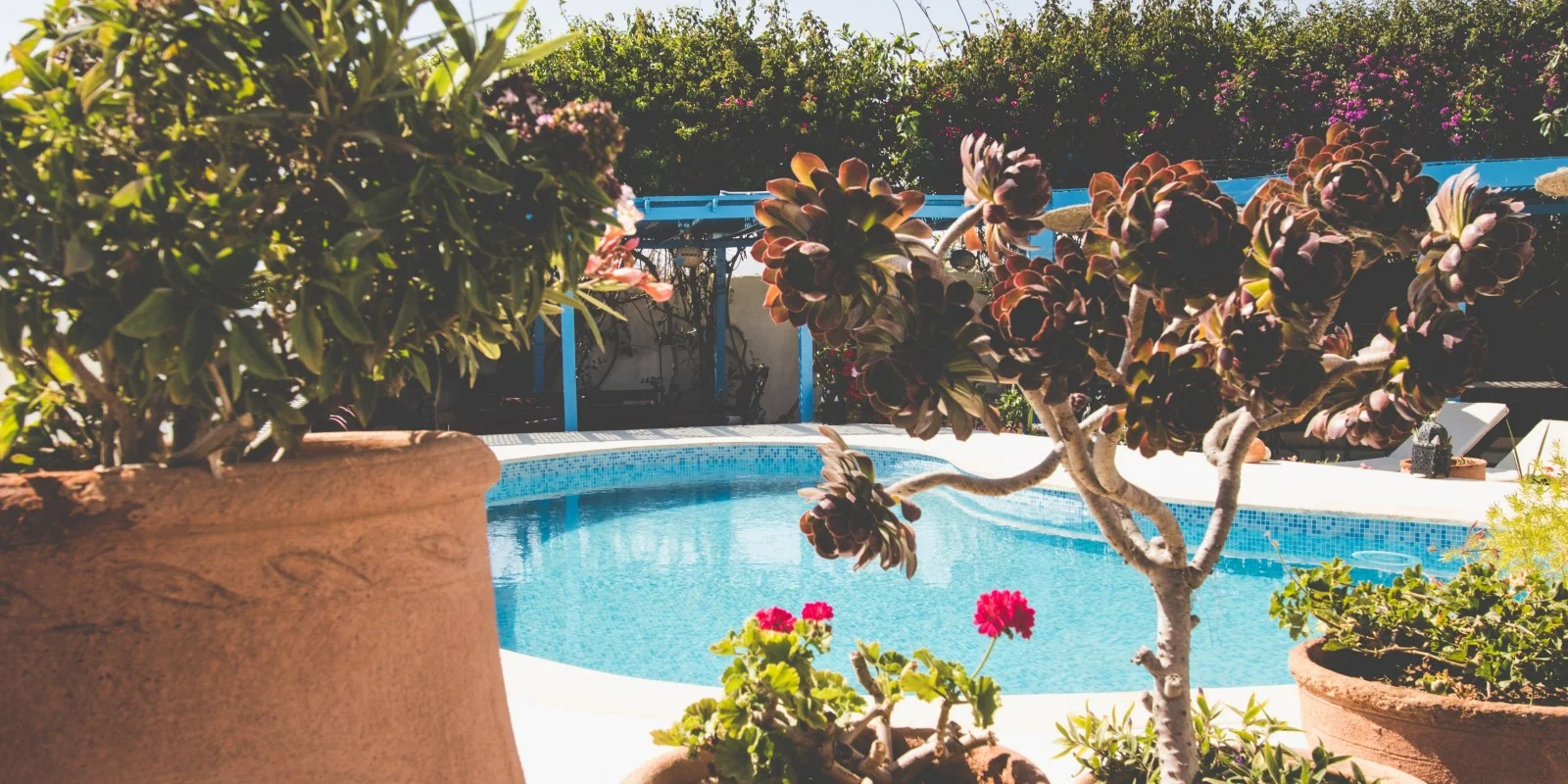 pool-mandala.jpg