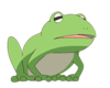 frog 5.png