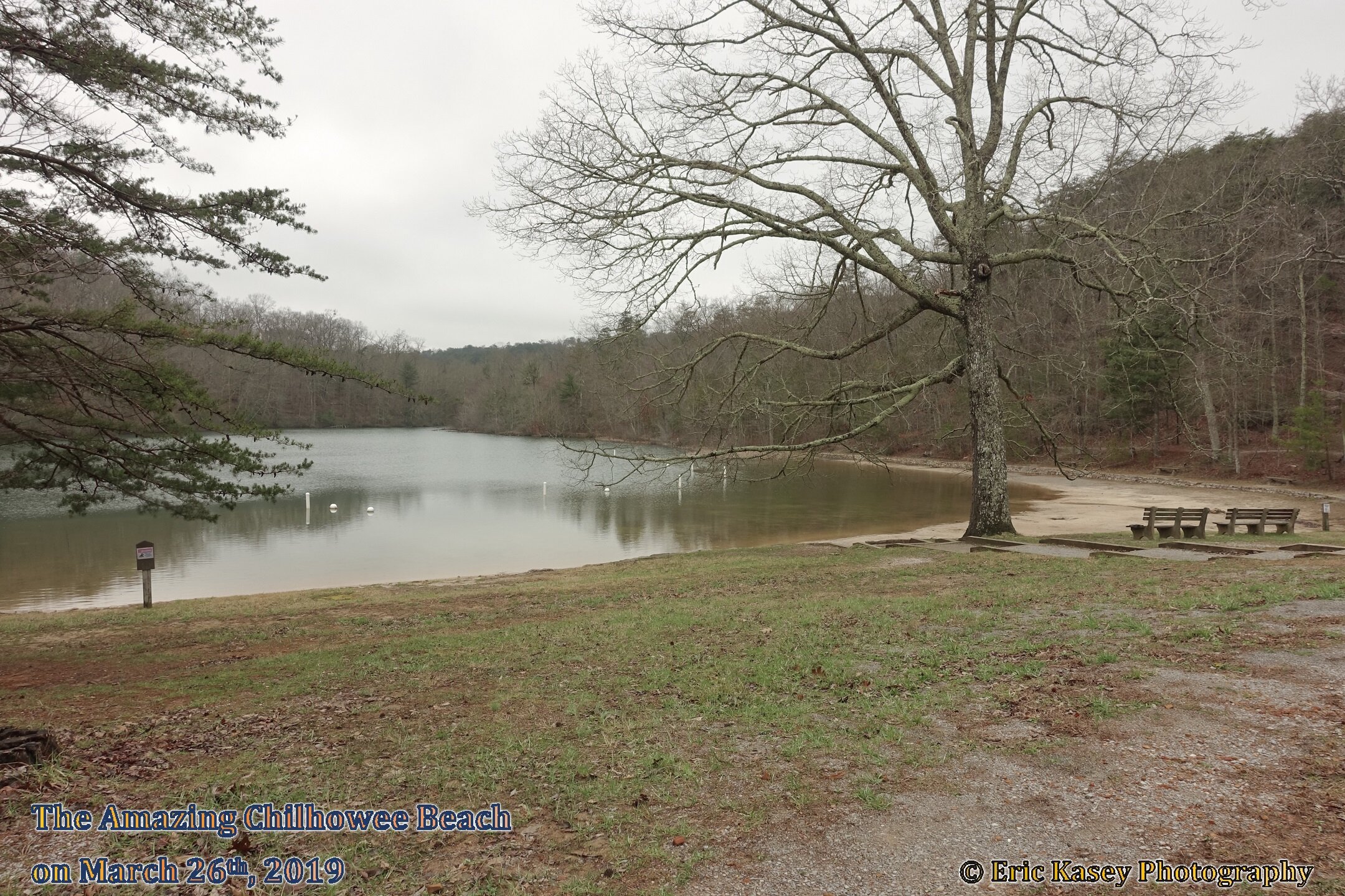 The Amazing Chilhowee Beach on March 26th, 2019.jpeg