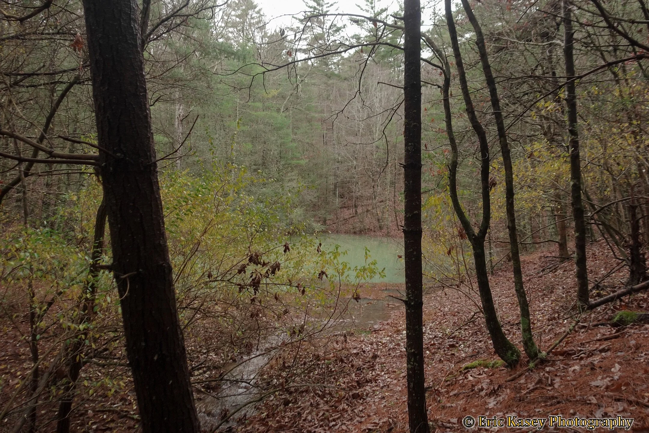 8F33E596-3C35-4B26-BAAA-872A5FC64D94