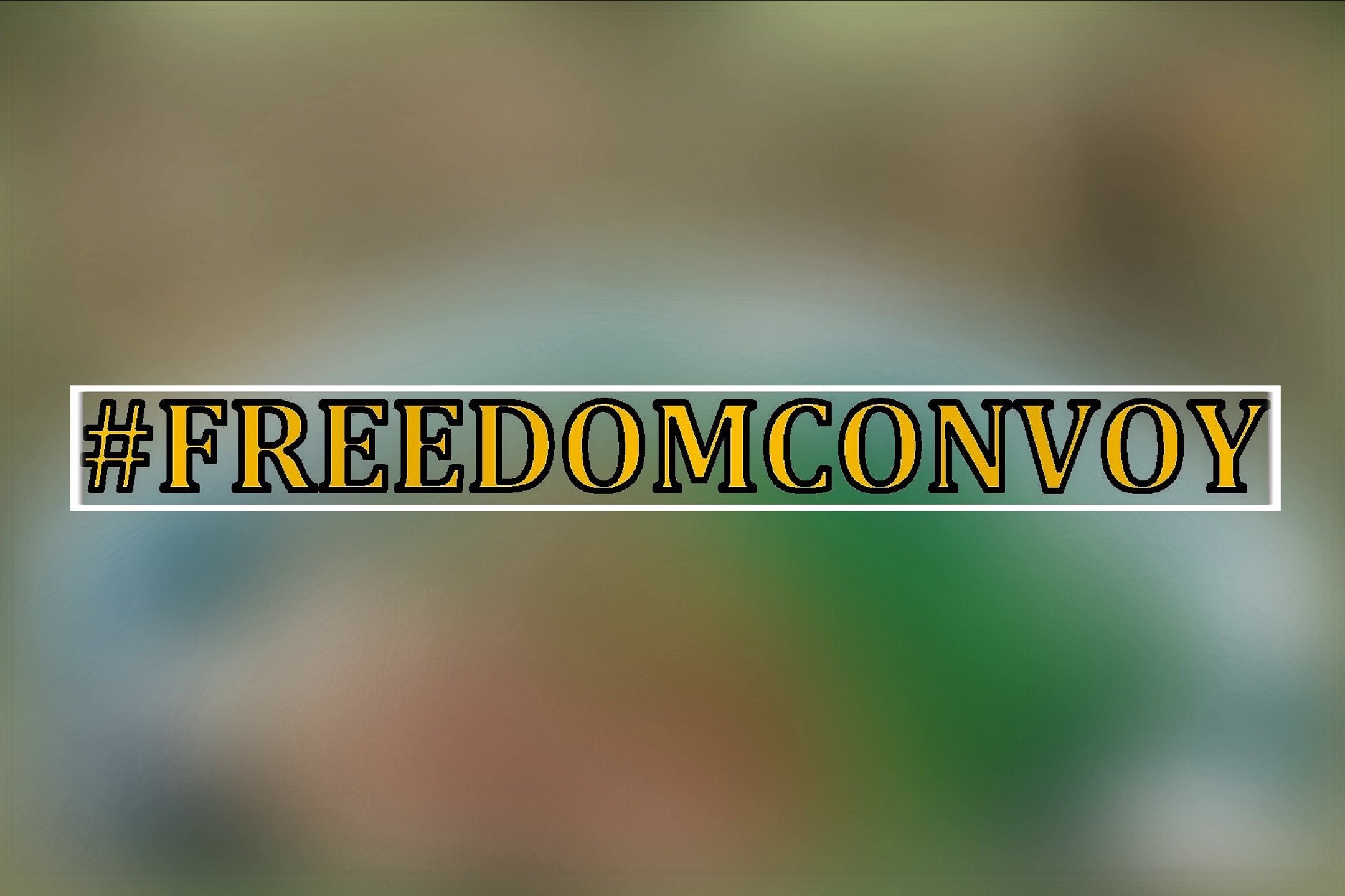 10 - My Freedom Convoy Bumper Sticker.jpeg