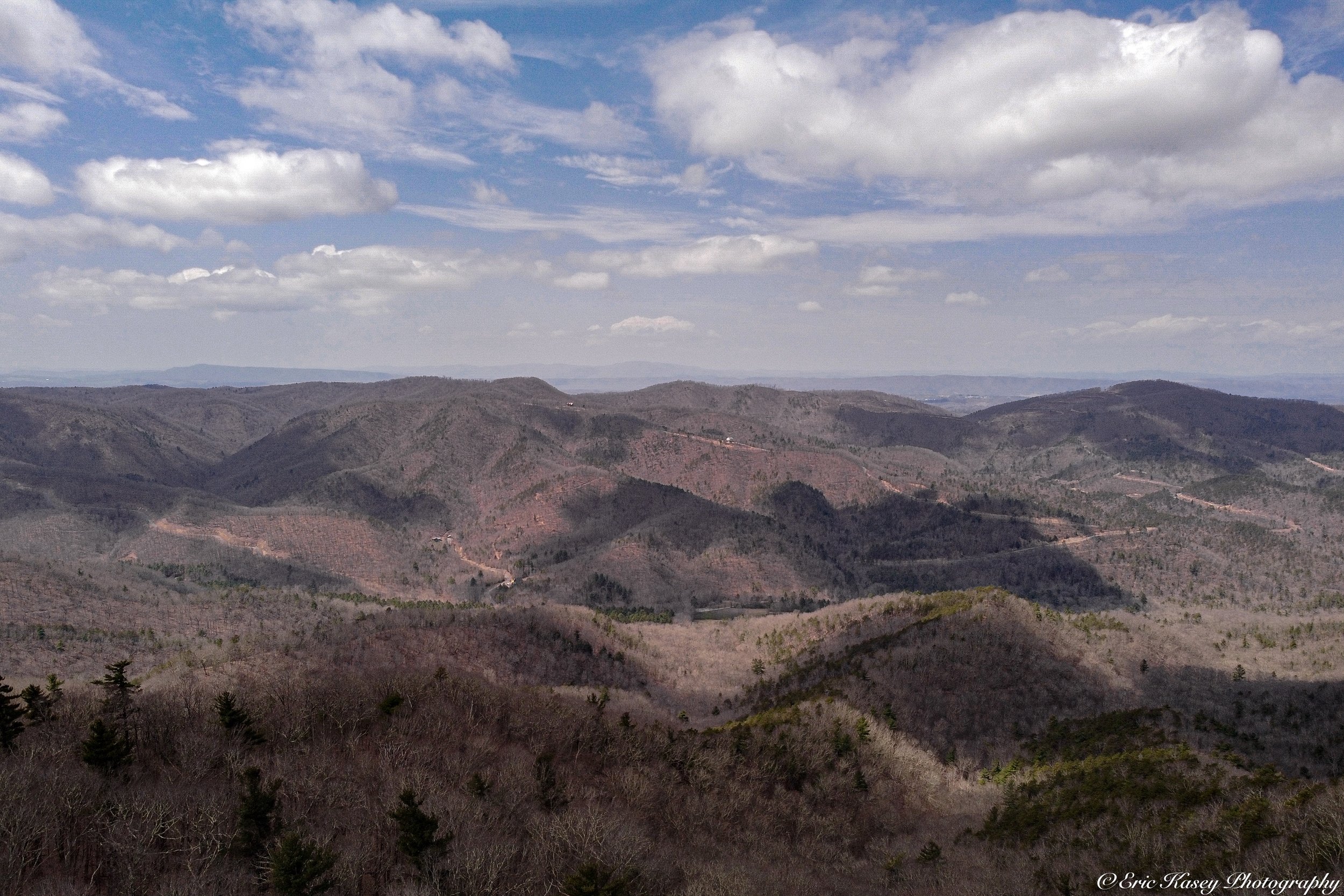 127 - Greenbrier State Forest on April 4th, 2023 (7).jpg