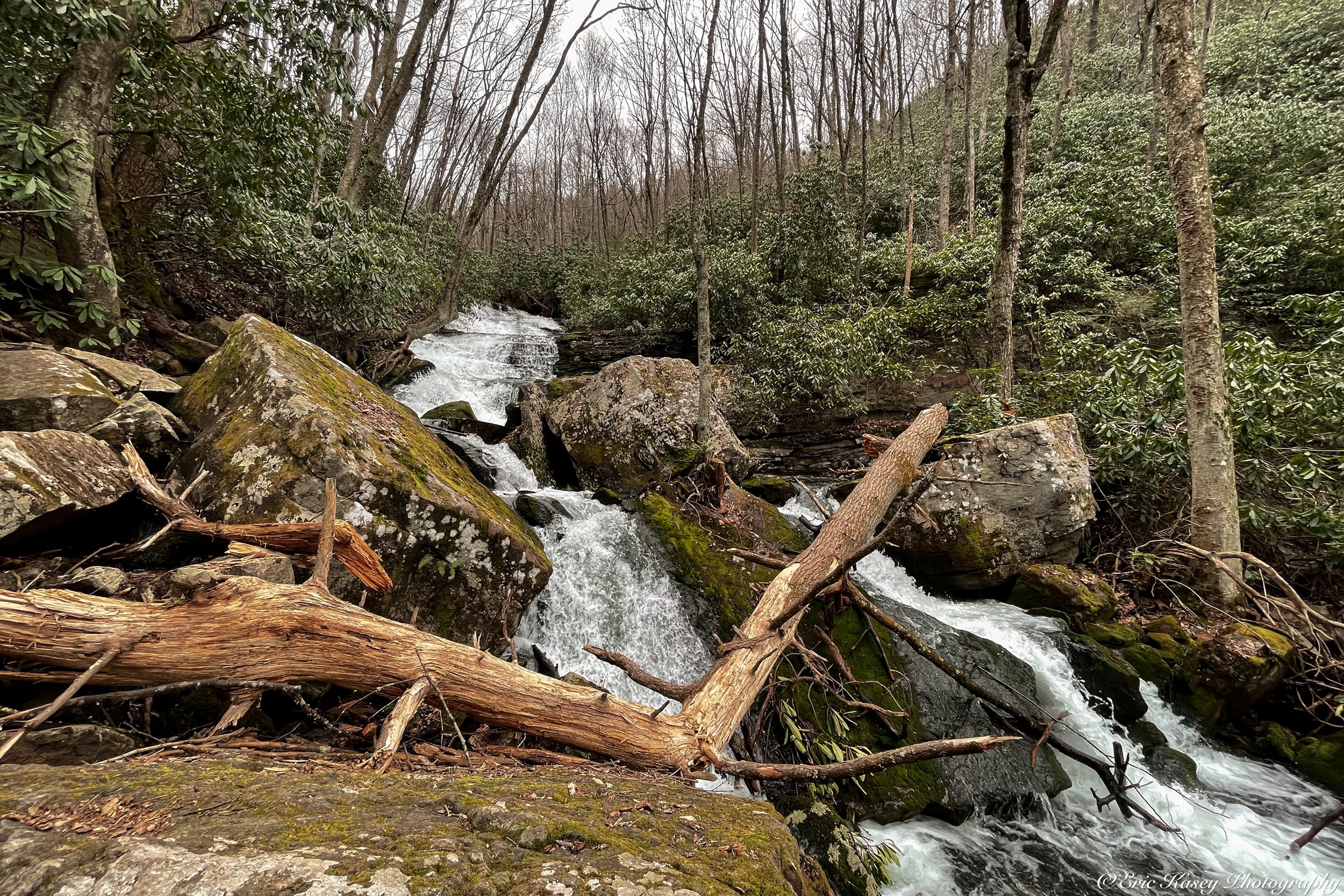 121 - Mill Creek Falls on April 3rd, 2023 (5).jpg
