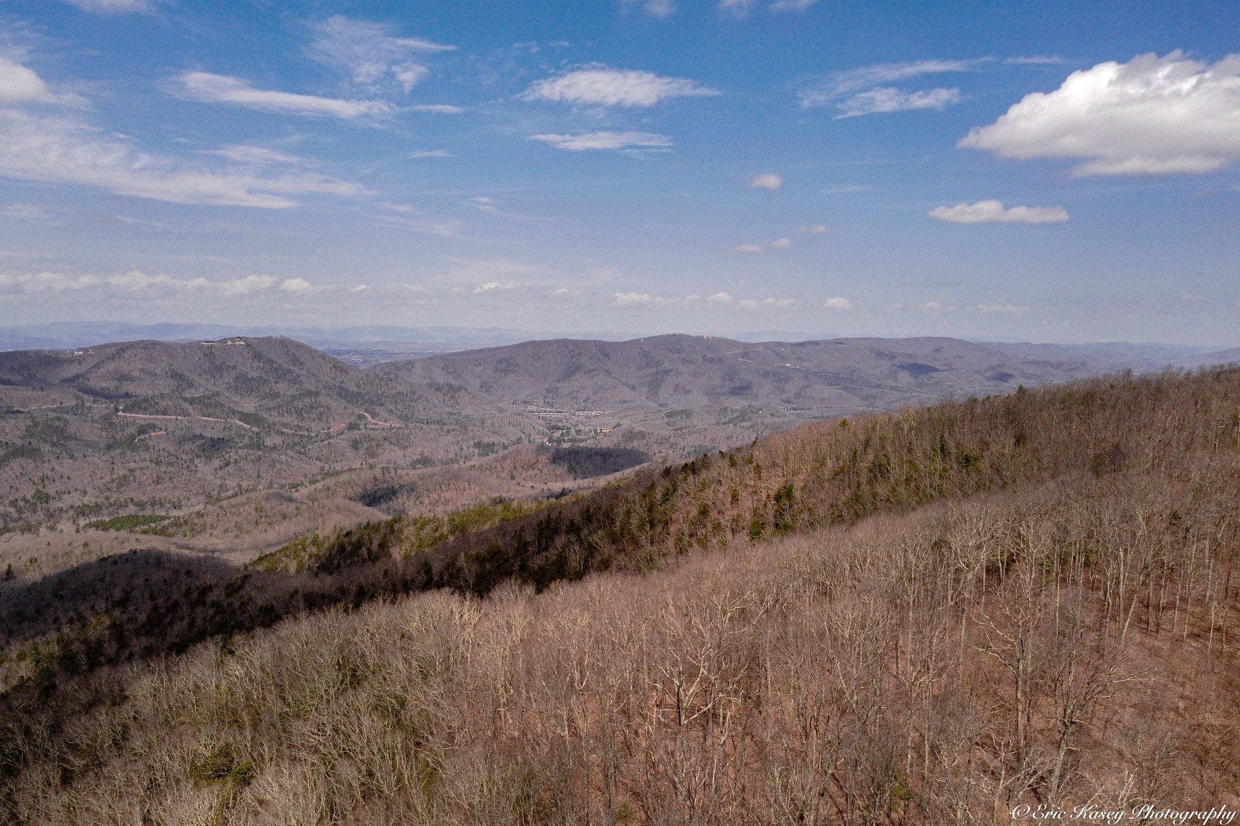 Greenbrier State Forest on April 4th, 2023 (4).jpeg