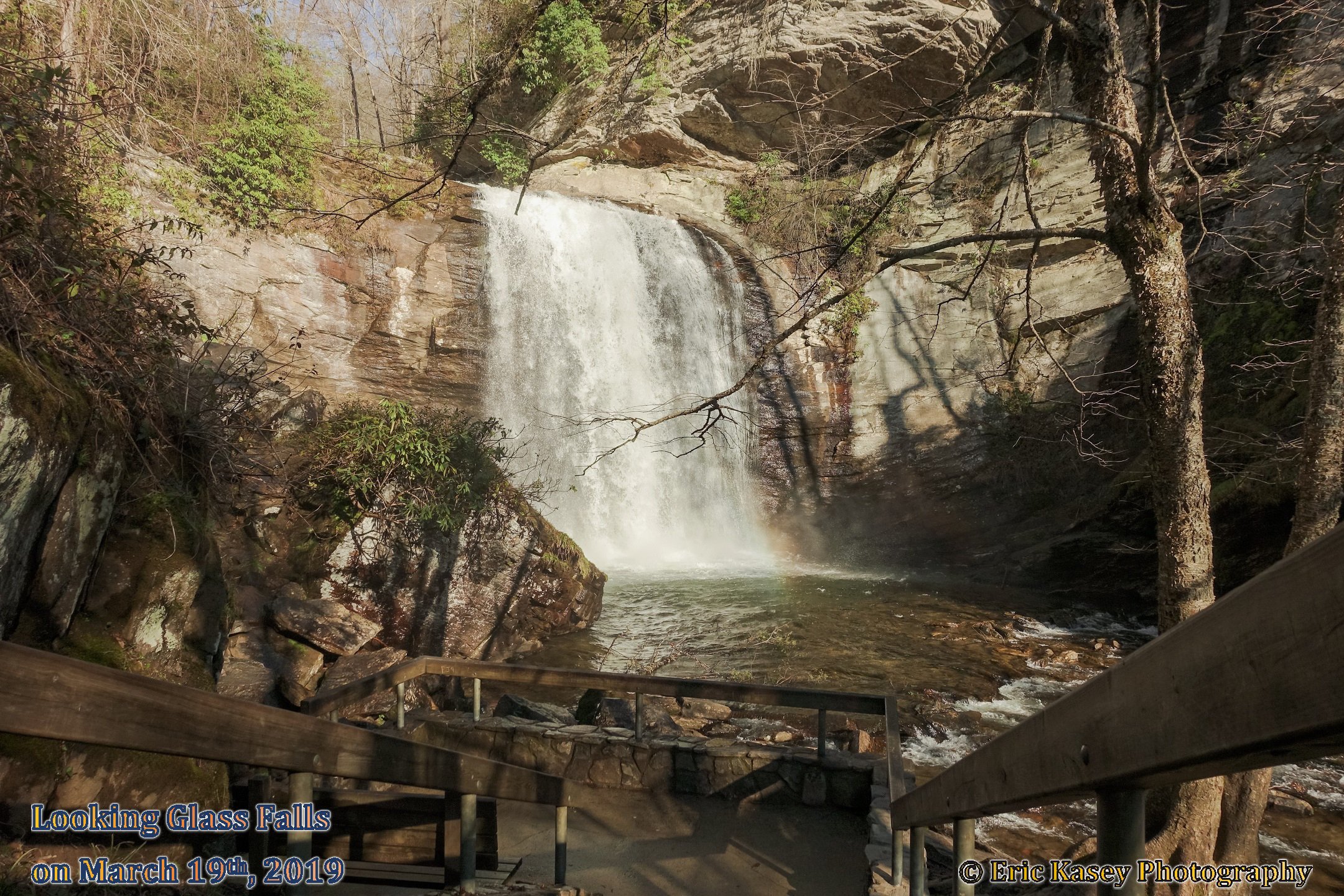 4 - Looking Glass Falls on March 19th, 2019.jpg