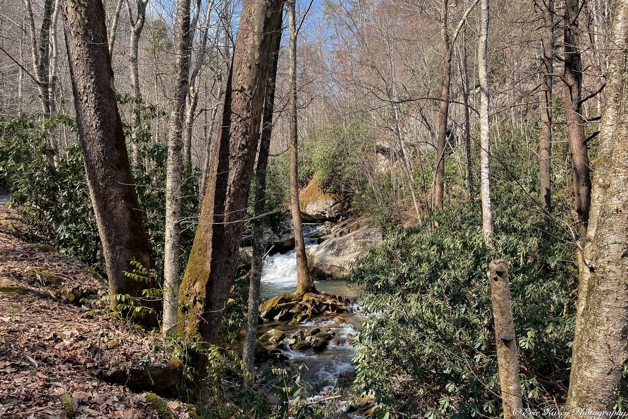 15 - Rocky Fork State Park on March 5th, 2022.jpg