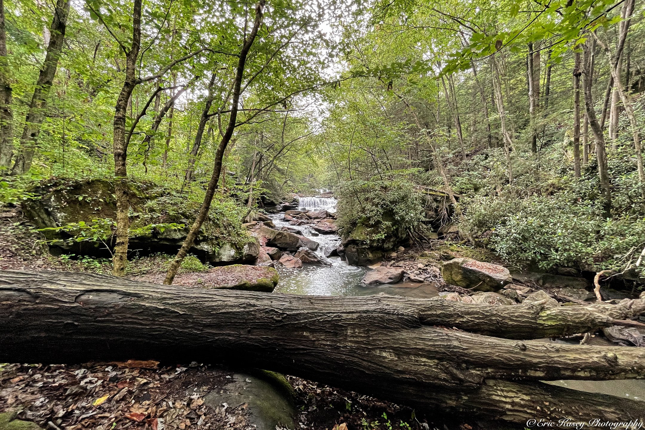 21 - Deckers Creek Falls on July 9th, 2022.jpg