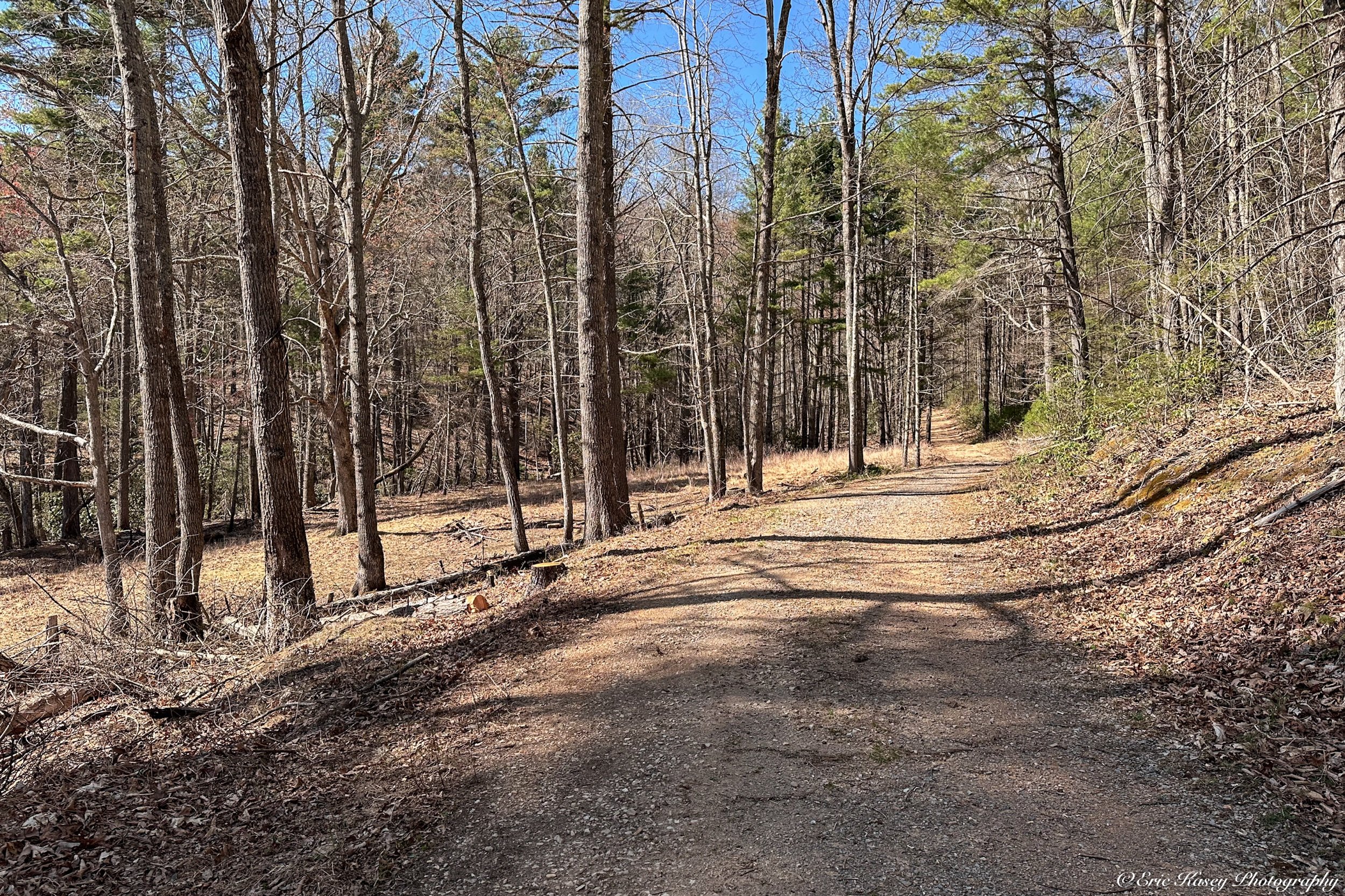 Horse Heaven Trail on April 7th, 2024 (2).jpeg