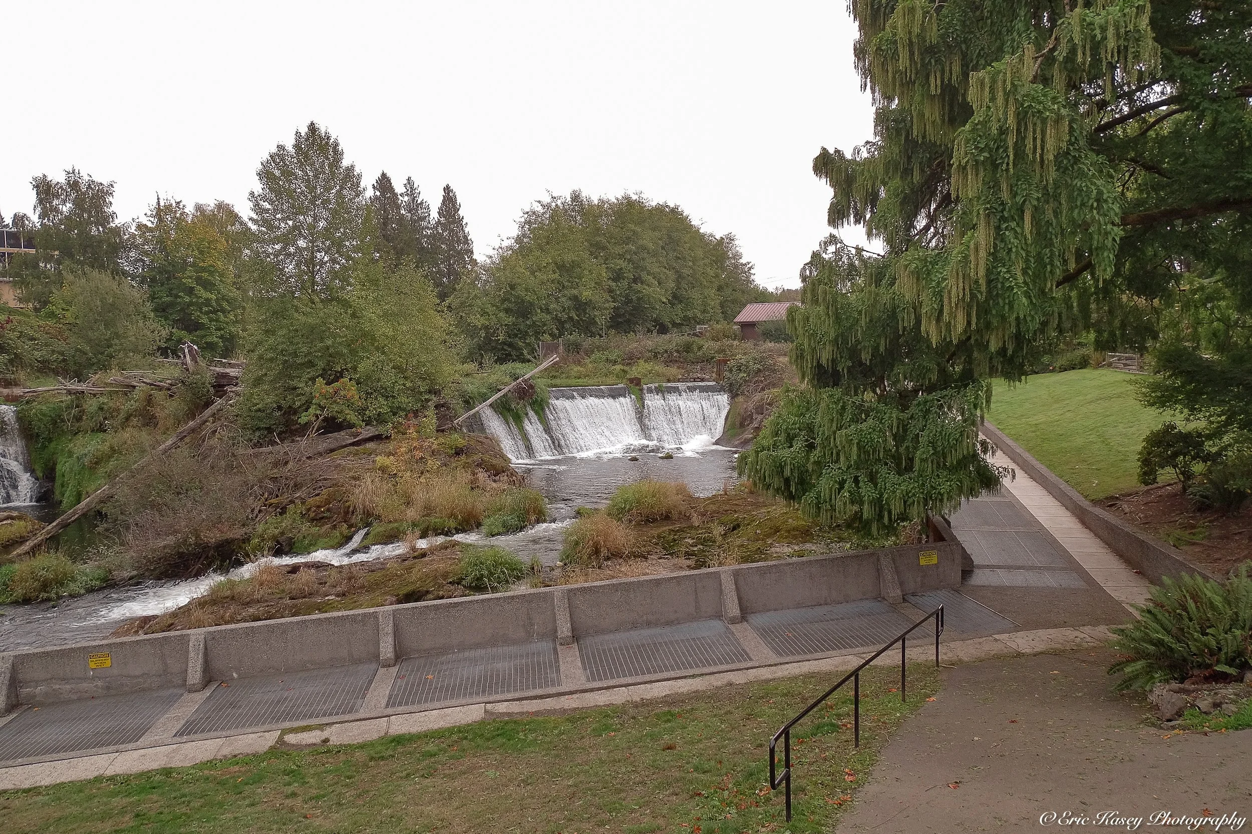 73 - Tumwater Falls on October 3rd, 2025.JPG