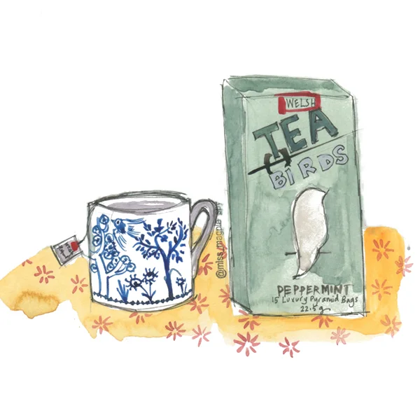 I drink so much tea that sometimes I worry I'll take it a cup too far and my ears will start spurting Earl Grey. And one day last year, I happened to mention on Instagram that 'd run out of tea bags (it was a major SHOCK HORROR moment).....and the next thing I knew Welsh Brew Tea had sent me the most amazing selection of brews. The rest were guzzled pretty quickly but these Peppermint luxury pyramid bags stayed in the cupboard a while. I have mint in the garden and I tend to just throw a few leaves in some hot water when I fancy something without caffeine. However, recently the the combination of major sunshine (I'm not complaining), huge snails on steroids (I am complaining) and cats in a territory war (I'm still complaining) meant that my mint died a really awful death. So I finally reached into the cupboard. AND IT WAS A REVELATION! The tea bags are yummy, minty fresh and not too strong. And I don't end up with soggy mint leaves on my upper lip either. The other day I had a cup when painting, and felt compelled to paint the beautiful blue and white Louise Wilkinson bone china mug as well as the package itself. So thank you again Welsh Brew Tea .....this illustrated thank you took a while but it just needed a little time to brew : )