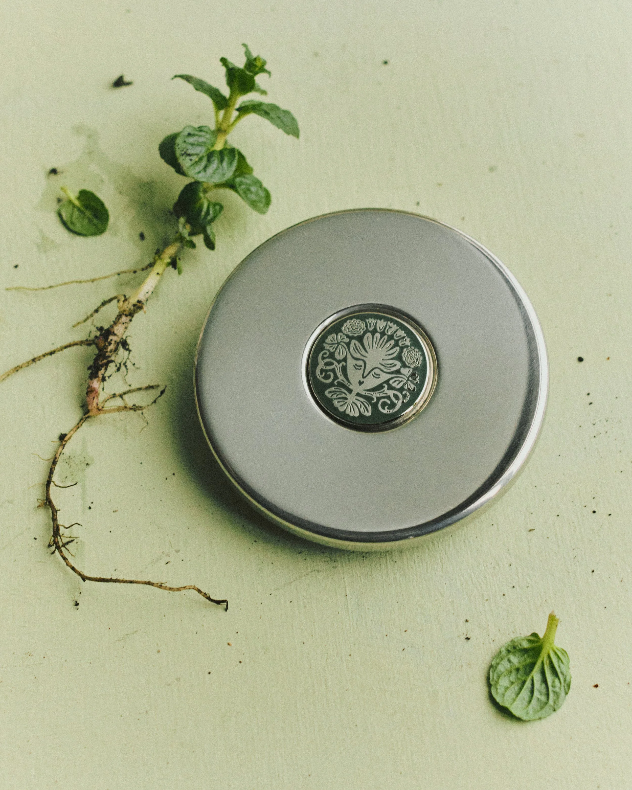 Ffern_Spring26_Capture_0338 copy.jpg