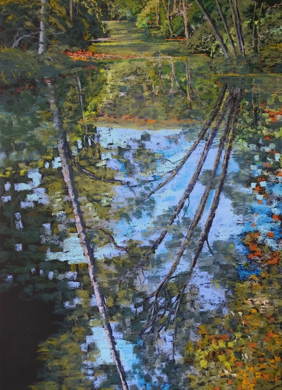   Reflections Kangaroo Valley  –&nbsp;Swetik Korzeniewski 