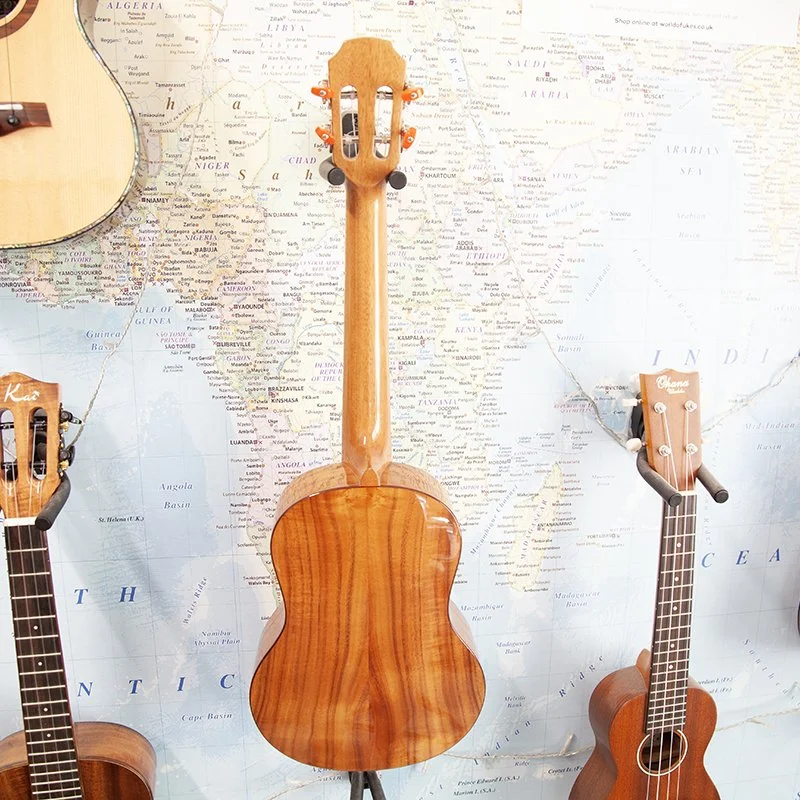 Snail S60T Used 3.jpg