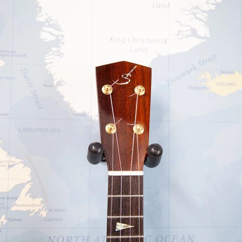 Da-Silva-Thin-Body-Tenor-Ukulele-3.jpg