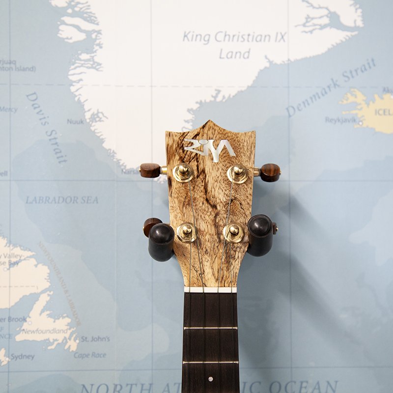 Risa-Mango-Deluxe-Tenor-Ukulele-2.jpg