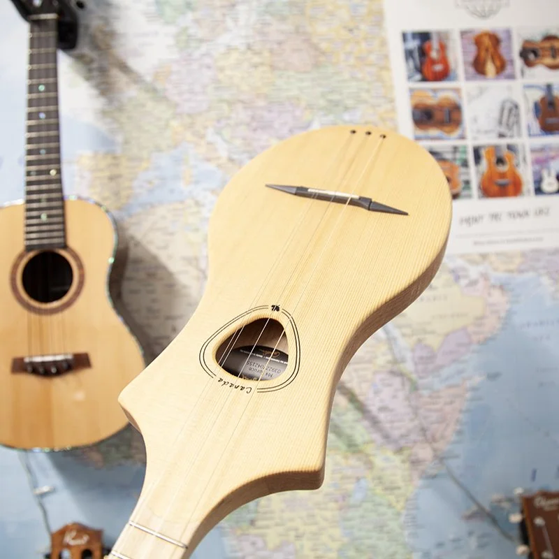 Spruce-Seagull-M4-Dulcimer-4.jpg