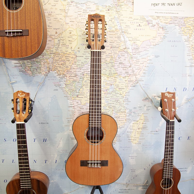 charity-8-string.jpg