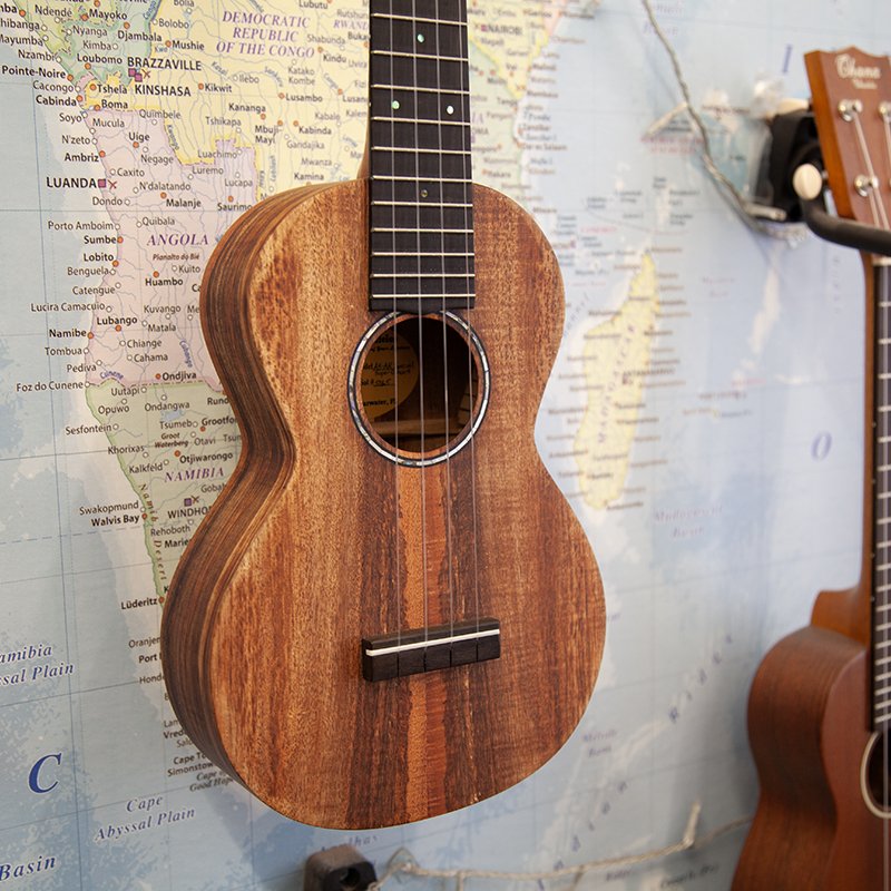 LoPrinzi-AK-AR-Super-Concert-Koa-Ukulele-1.jpg