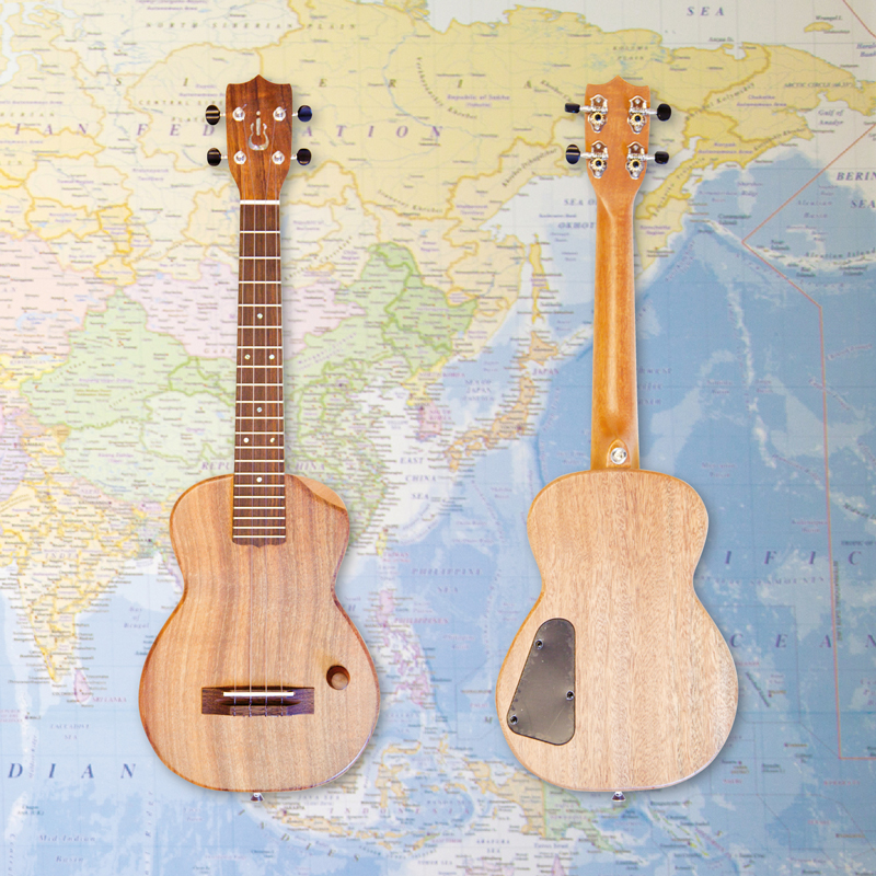 Imua-iET-210-Chambered-body-map.jpg