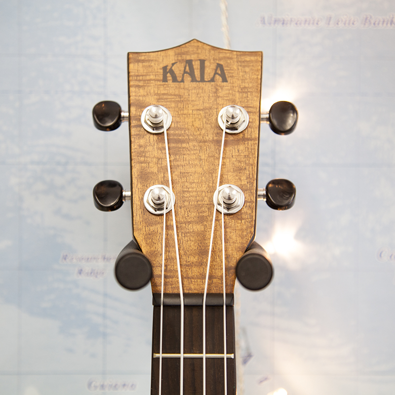 Kala-KA-ASAC-C-Concert-ukulele-a.jpg