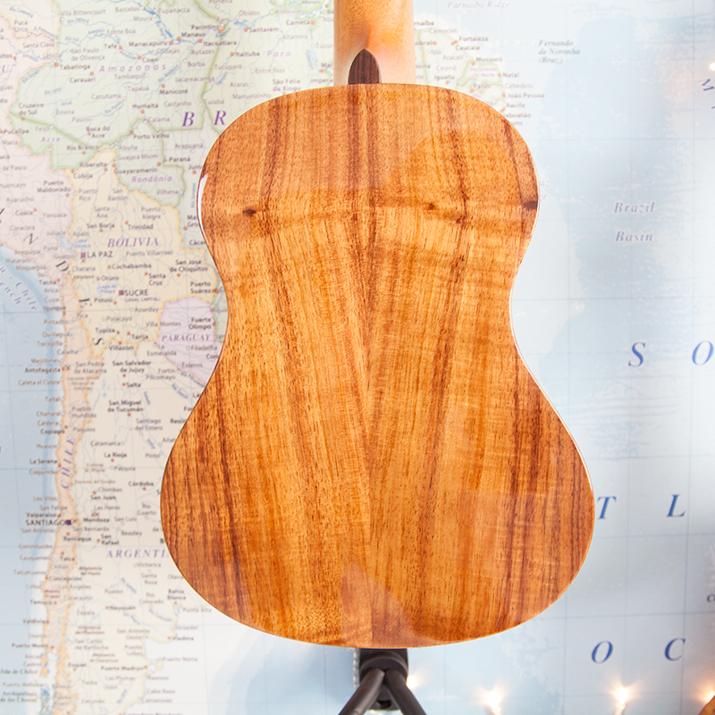 Kala-1KOA-TG-Elite-Tenor-C.jpg