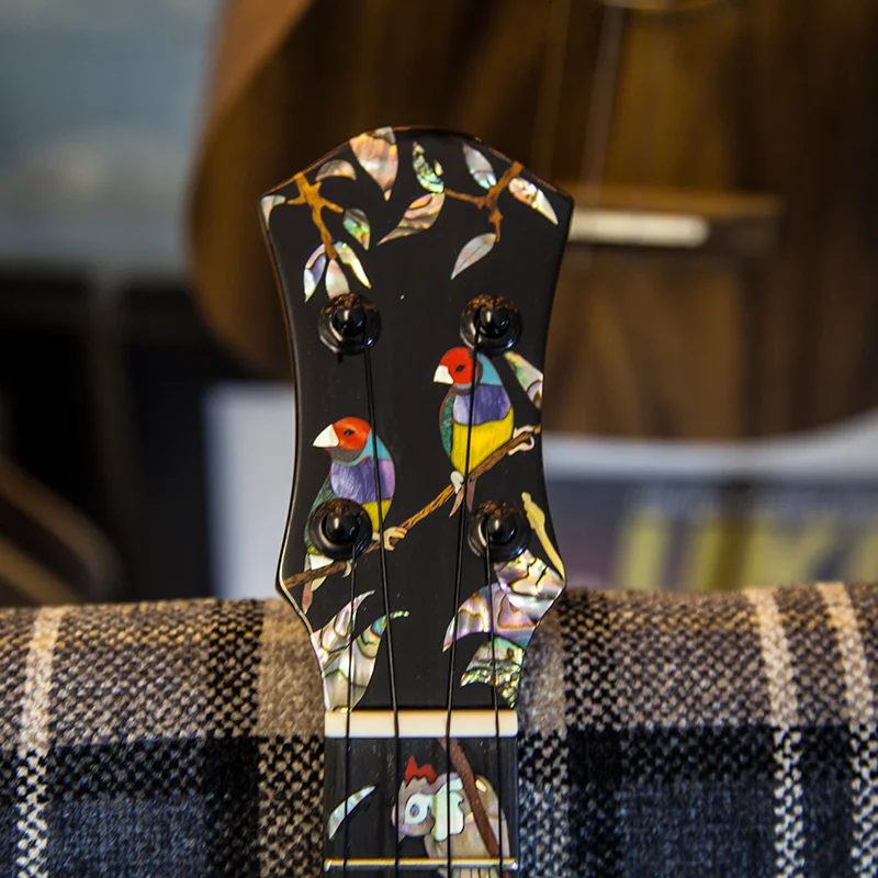 aNueNue-Black-Rainbow-Tenor-Ukulele-4.jpg