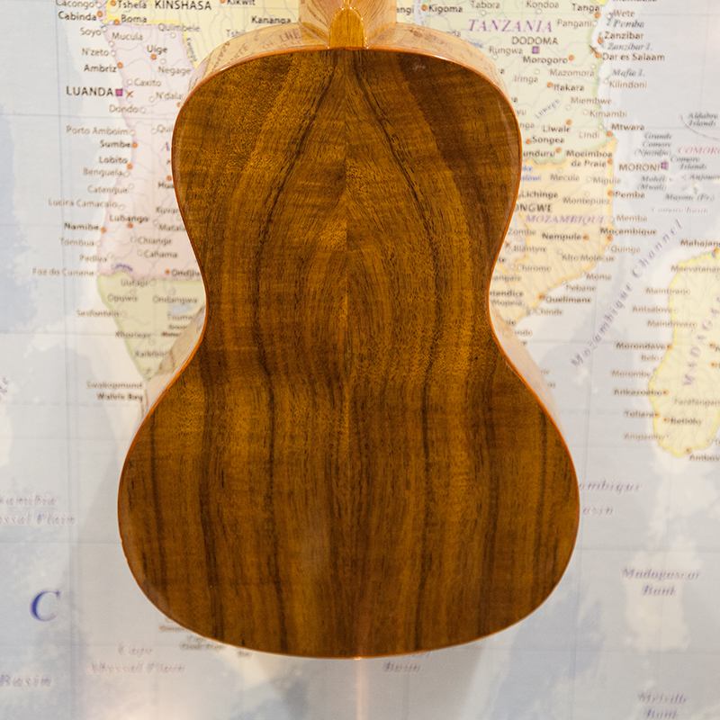 Kala-KA-ACP-CTG-Concert-Ukulele-2.jpg