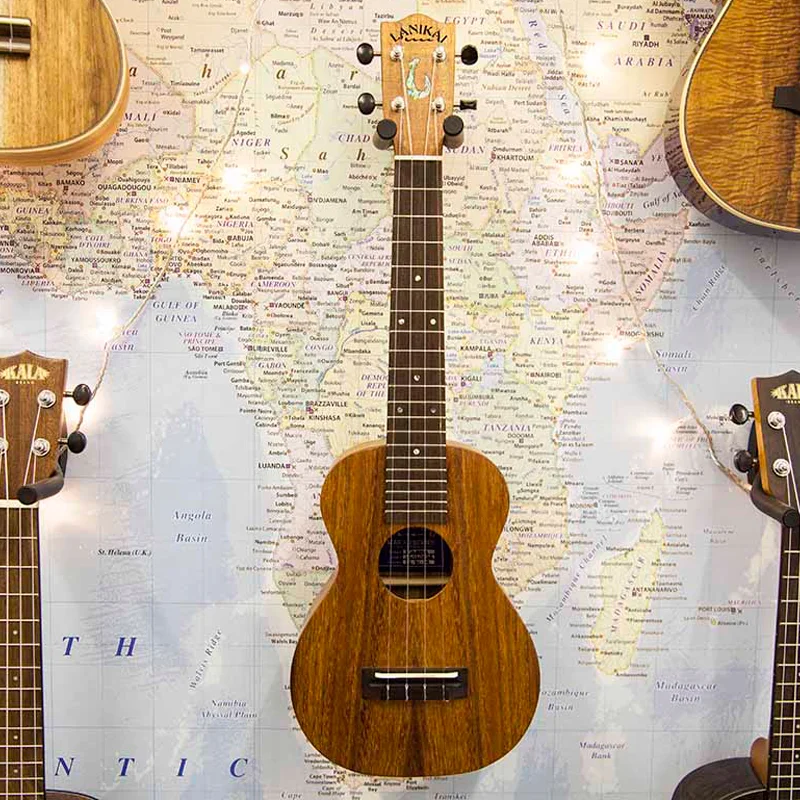 Lanikai-Kaena-Concert-Ukulele-box.jpg