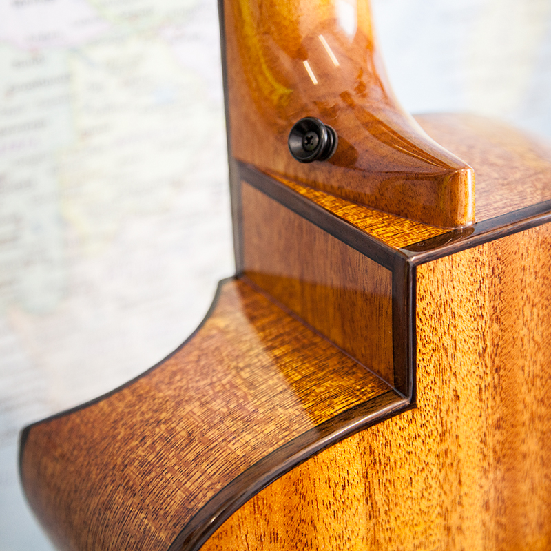 aNueNue-Bass-Ukulele-3.jpg