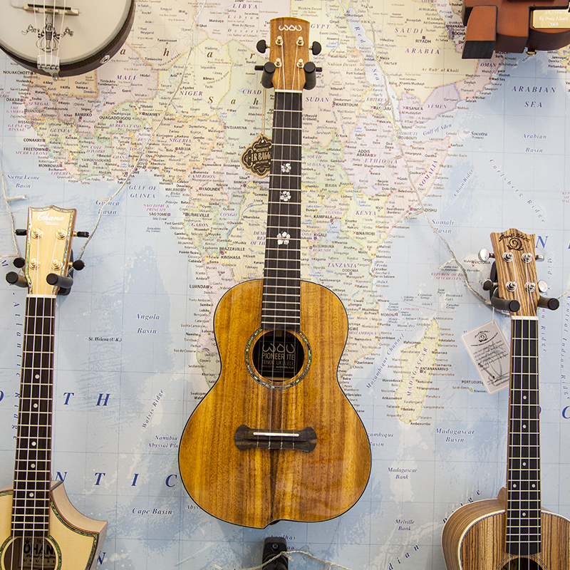 New-Pioneer-1TE-Electro-Tenor-Ukulele.jpg