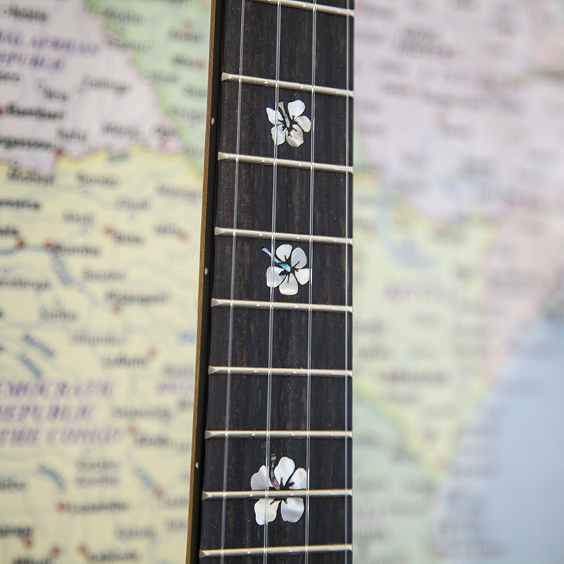 New-Pioneer-1TE-Electro-Tenor-Ukulele-1.jpg