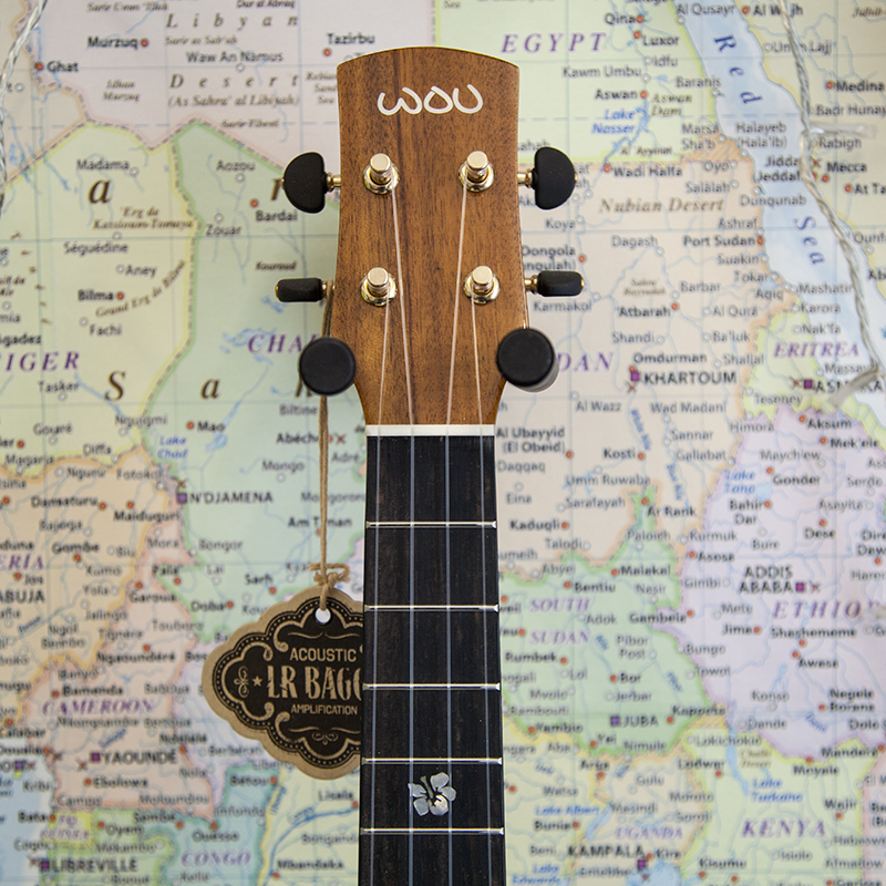 New-Pioneer-1TE-Electro-Tenor-Ukulele-6.jpg