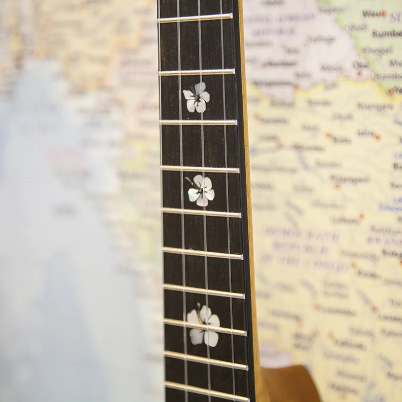 Pioneer-1T-New-Tenor-Ukulele-2.jpg