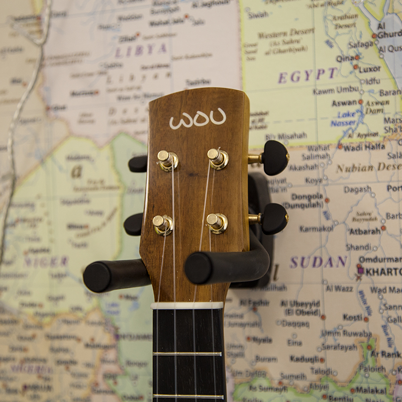 Pioneer-Concert-World-of-Ukes-Ukulele-1C-b.jpg
