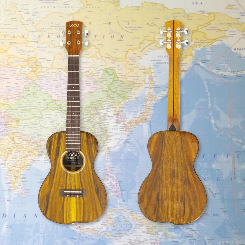 WOU-Pioneer-1T-Tenor-map.jpg