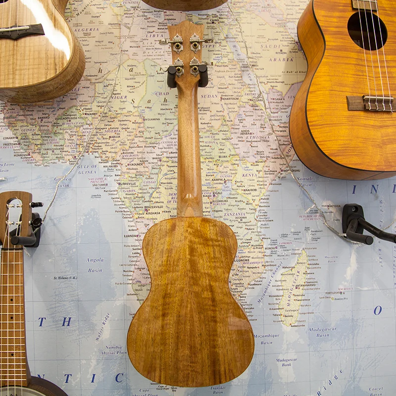 Snail-BH-2C-Concert-Ukulele-1.jpg