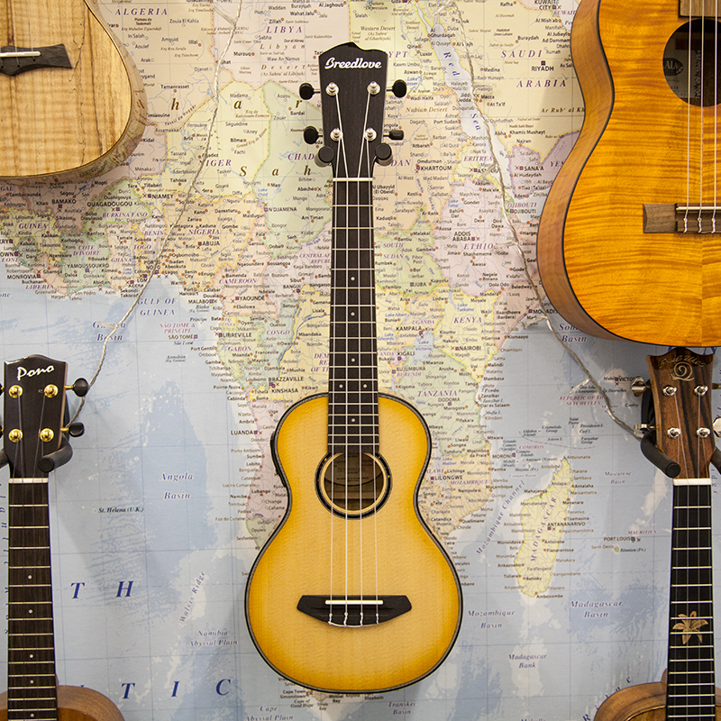 Breedlove-Lu'Au-Concert-Electro-Spruce-Natural Shadow.jpg