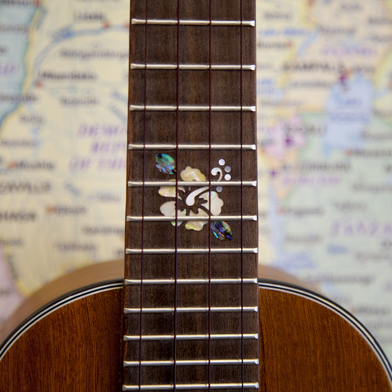 CK-14L-Ohana-Cynthia-Lin-Concert-Ukulele-2.jpg