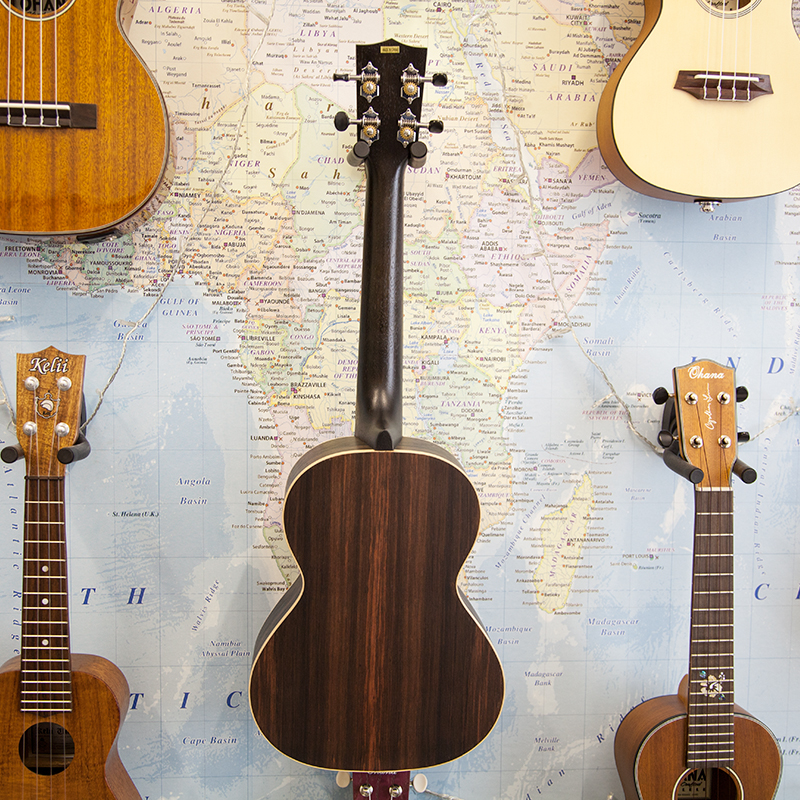 Kala-KA-EBY-TE-Tenor-Electro-Ukulele-3.jpg