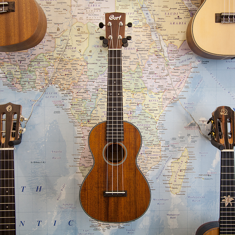 Cort-UKEBWCOP-Concert-Ukulele.jpg
