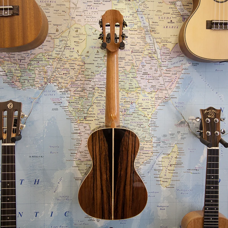 Snail BH-5C Concert Ukulele 3.jpg