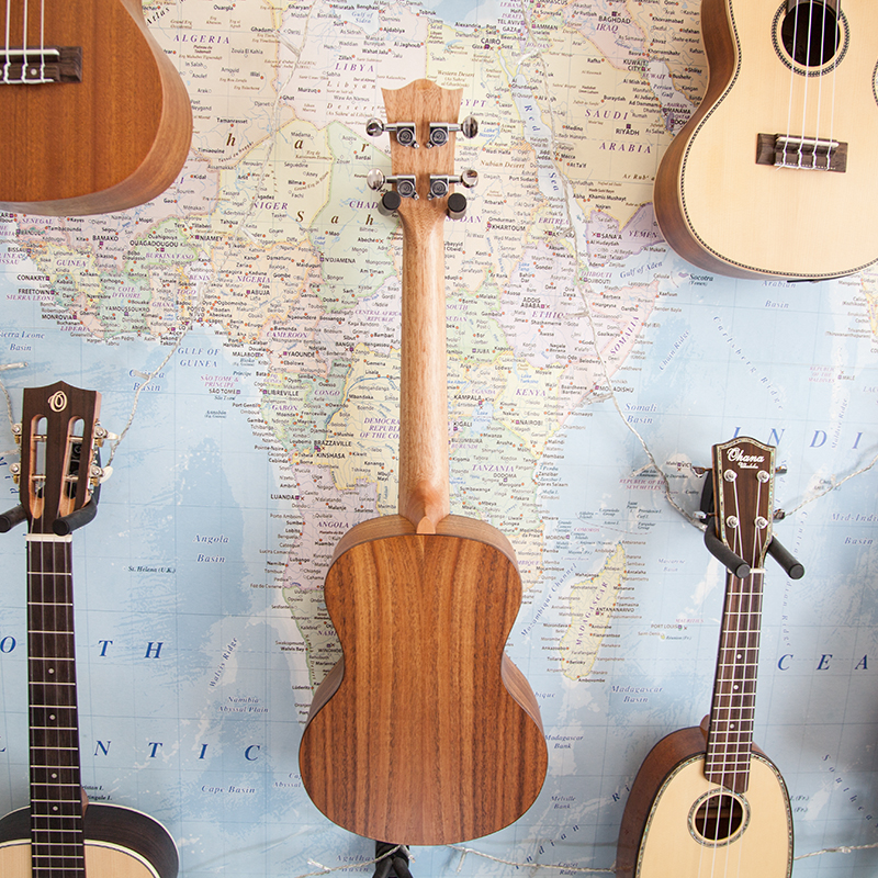 Snail-SR-05T-Tenor-Ukulele-3.jpg