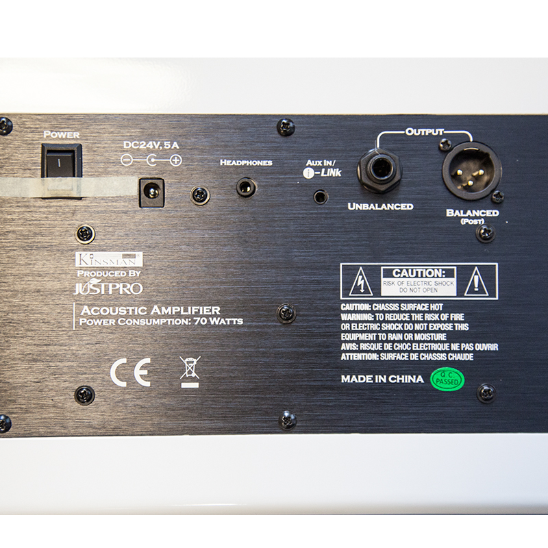 Kinsman JustPro Amp 3.jpg