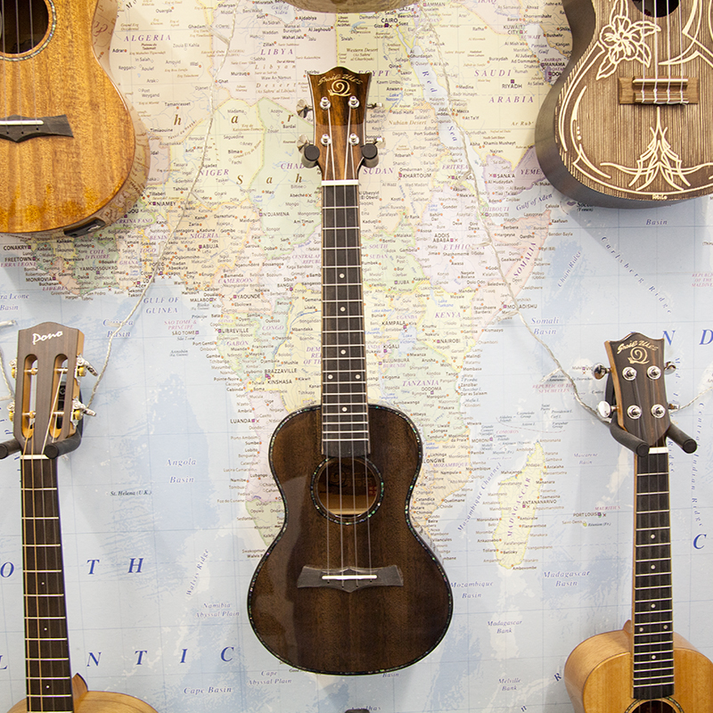Snail-RT-C-Concert-Ukulele.jpg