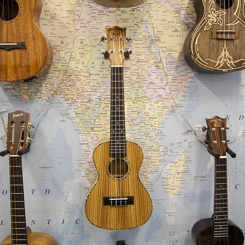 Snail-UKC-480E-Zebrawood-Concert-Ukulele.jpg