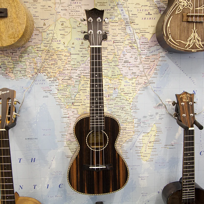 Snail UKC-E498-Concert-Ukulele-Ebony-1.jpg